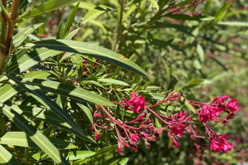 Villa St. Julian - foto 25