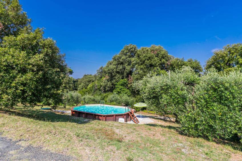 Podere gli Olivi - foto 31