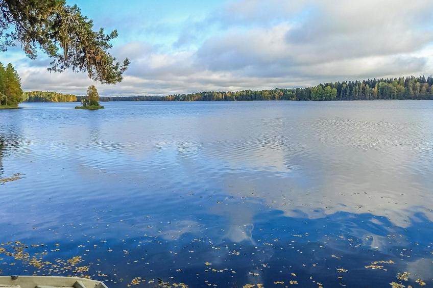 Kelosyväri 3 - foto 29