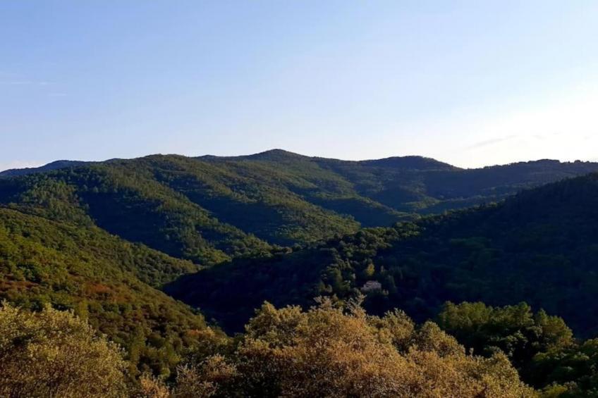 La Chataigne - foto 28