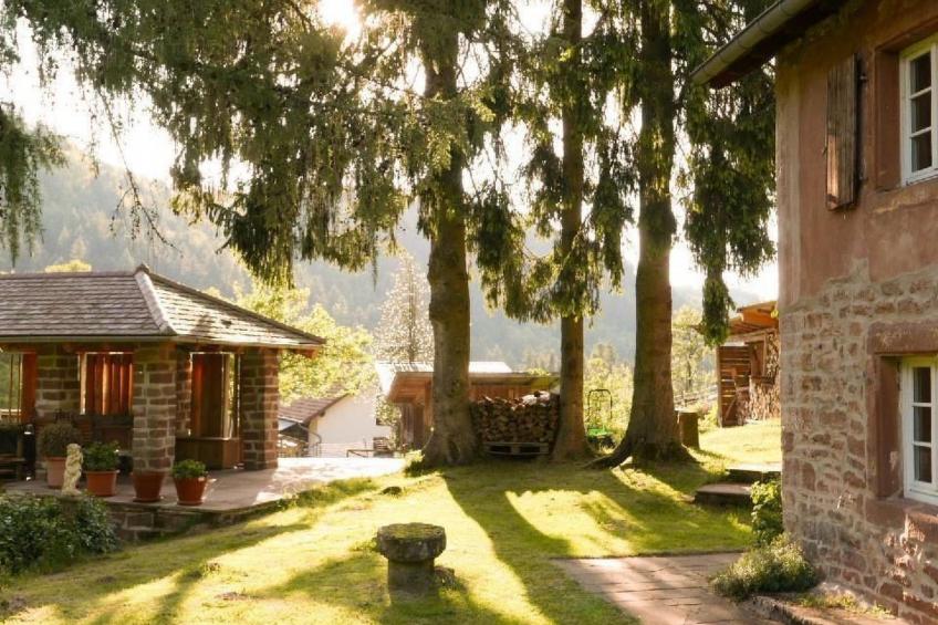 in Walscheid mit Terrasse, Grill - foto 45