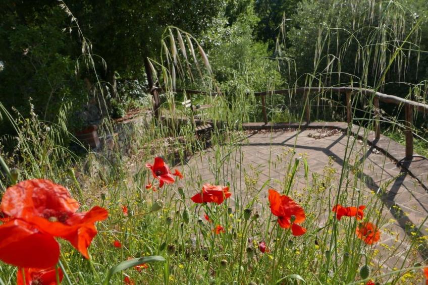 Charmantes Ferienhaus in Ciciano mit Grill, Garten und gemeinsamem Pool und Pan - foto 46