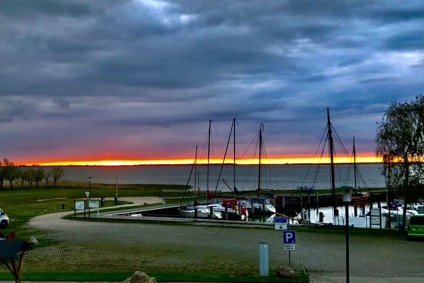 Haus Saaler Bodden - foto 37