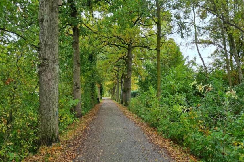 Vakantiepark 't Broeckhuys 6 - foto 15