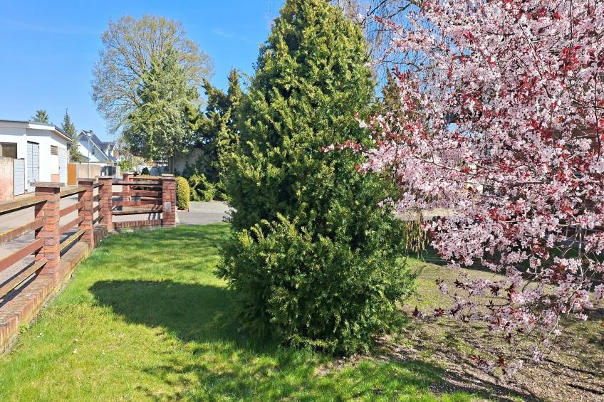 Ferienwohnung OG Staßfurt Schnittke - foto 25