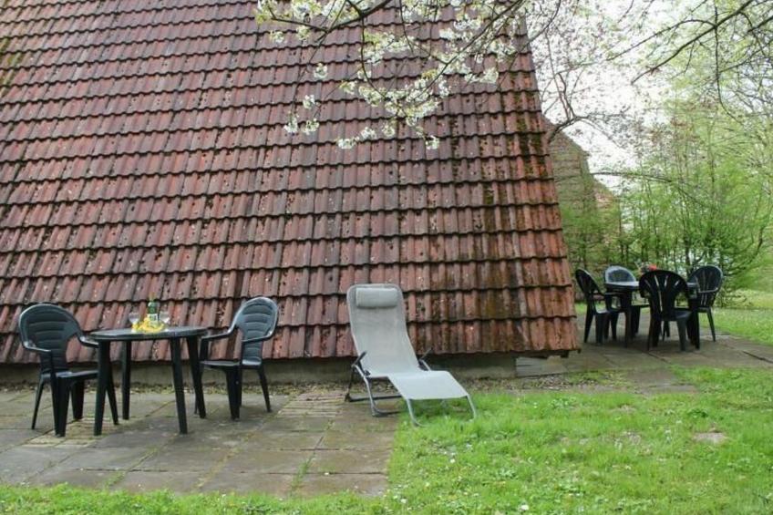 Kirschblüte - foto 3