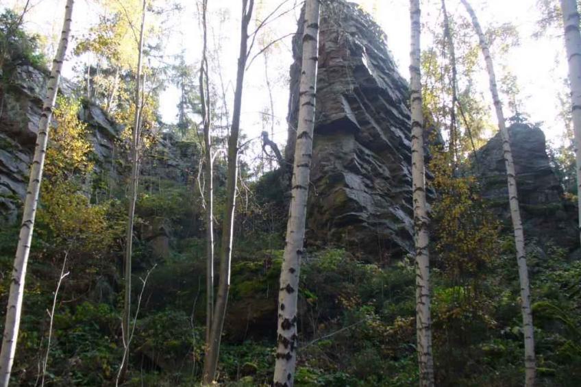 Vakantiewoning in het skigebied - VW-YCPK - foto 24