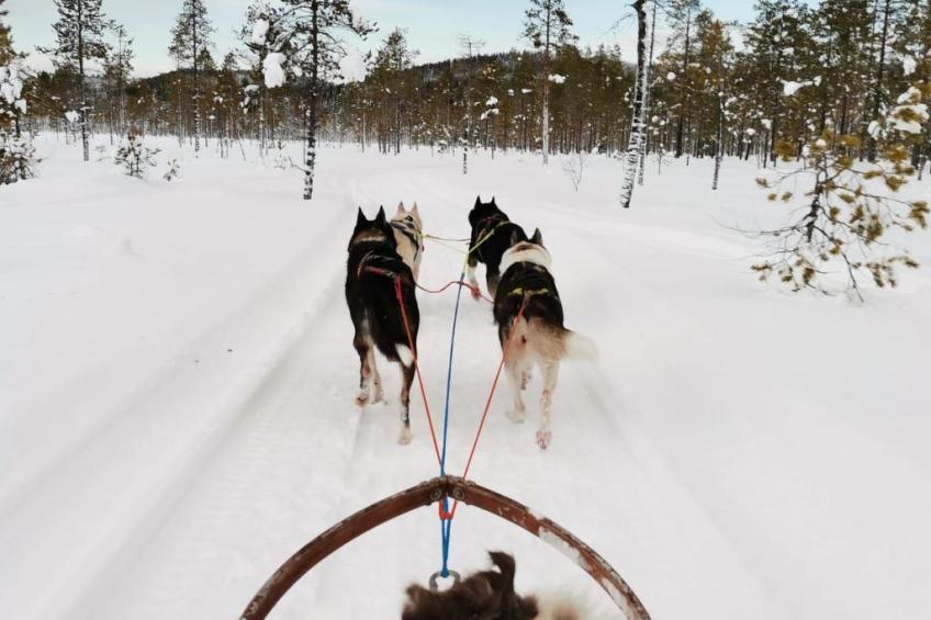 "Villa Tina" - foto 29