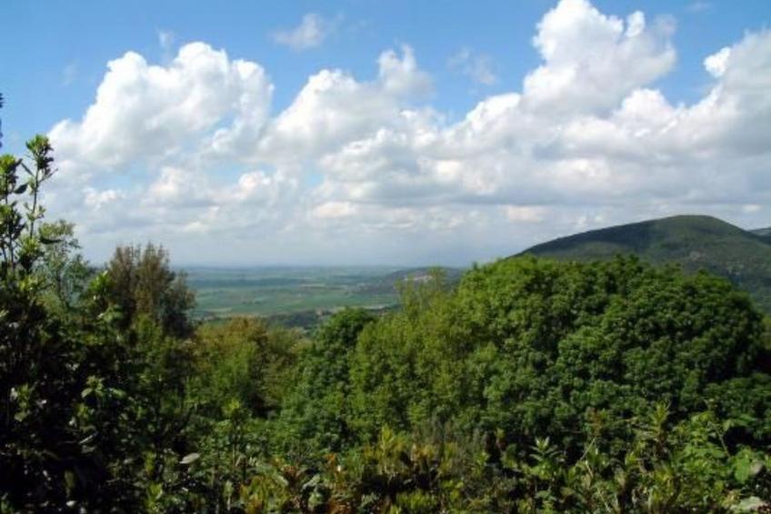 Roberto Relax Haus auf dem Lande in der Nähe des Meeres - foto 17