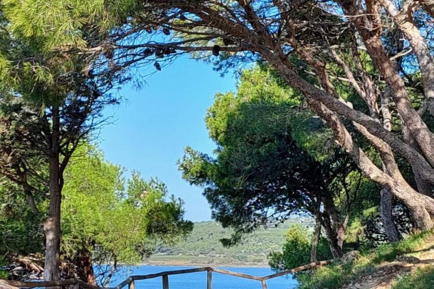 Maison Bleu - foto 3