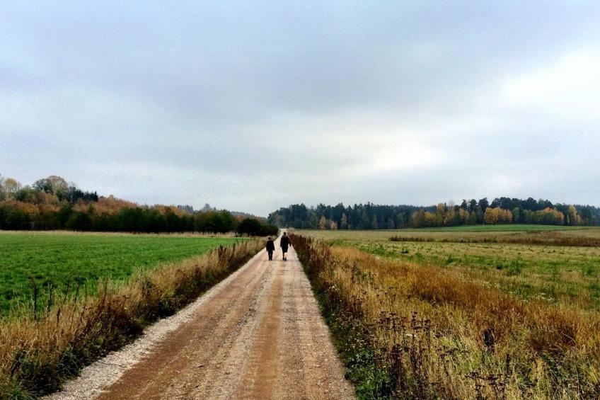 Nachhaltig und gefühlvoll in Seenähe - foto 20