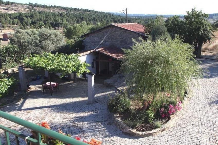 Ferien auf dem Bauernhof mit Weinberg - foto 19