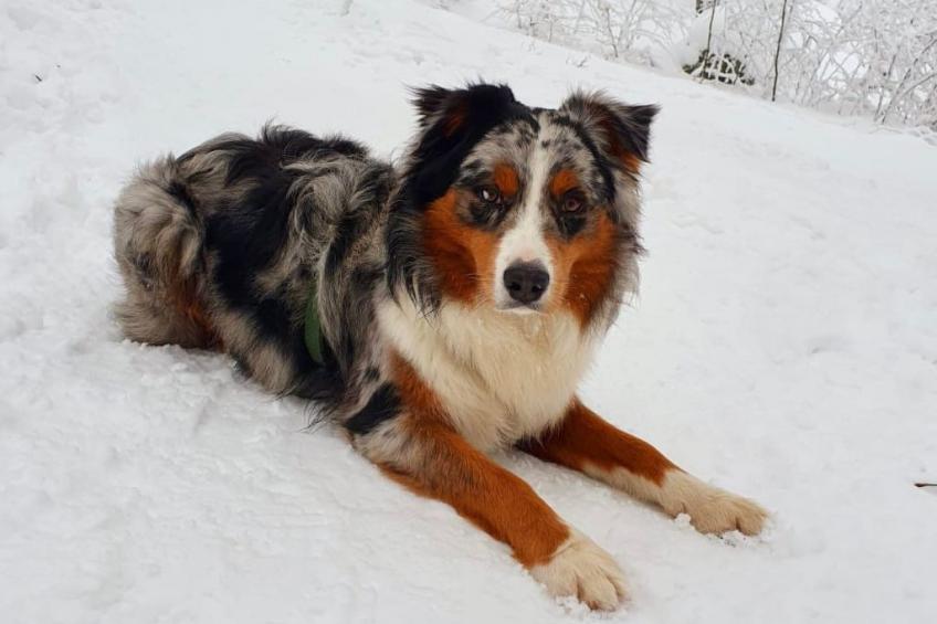 Zillendorf 2 - foto 33