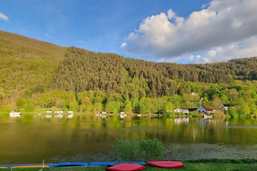 Moselschiefer-Traumferienwohnung am Moselufer - foto 17