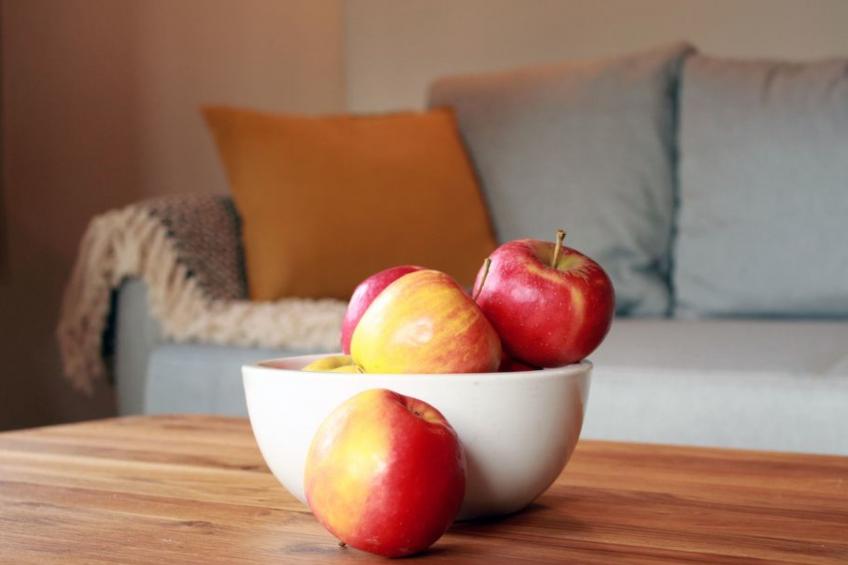 für 2 Personen  + 2 Kinder ca. 70 m² in Quedlinburg, Harz (Unterharz) - foto 20