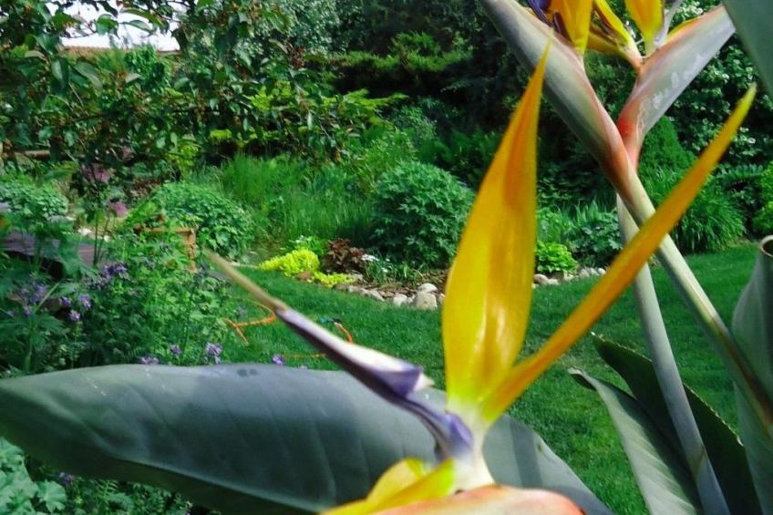 in ruhiger Lage am Waldrand - foto 18