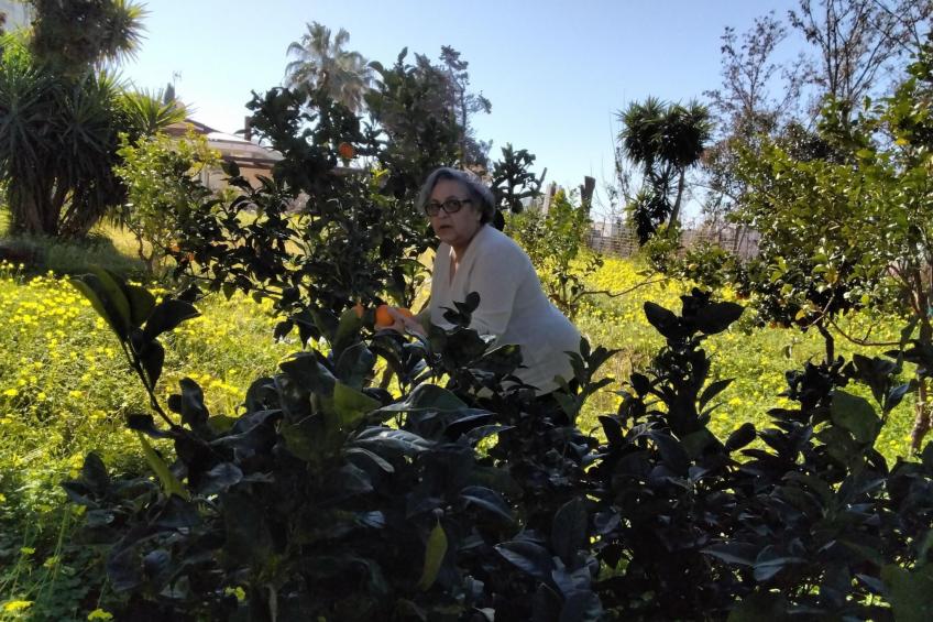 Ferienvilla mit Wasserblick - foto 38