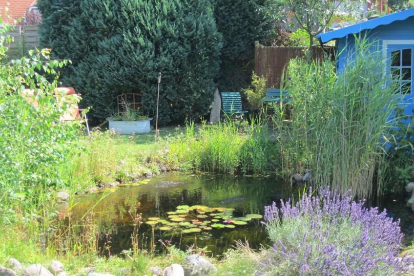 Wohnung in Gießelrade mit Großem Garten - foto 9