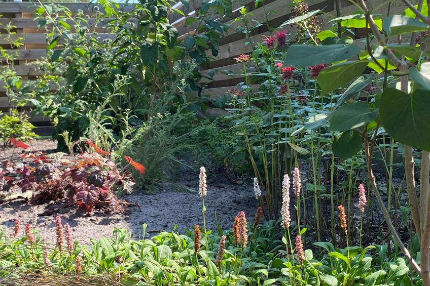 De Groninger Zeeuw - foto 40