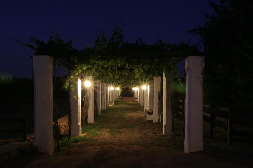 Tia Ranch Iii - foto 21