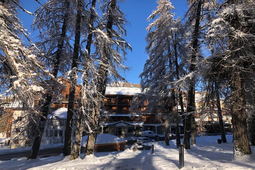 Adonis Valberg Studio - foto 15