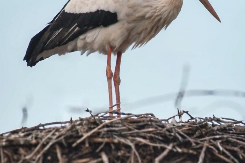 Wohnung mit Privatparkplatz - foto 14