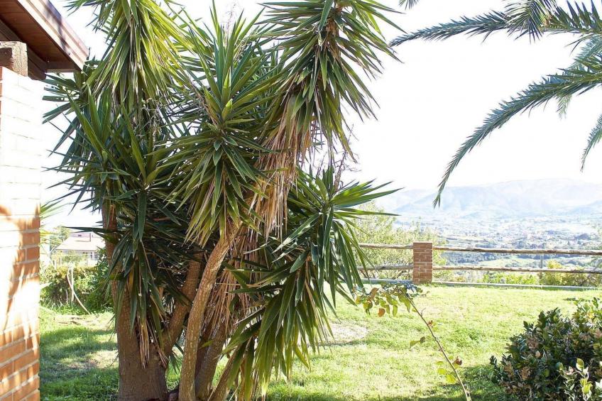 Die Villa Benincasa Wohnung mit Meerblick - foto 9