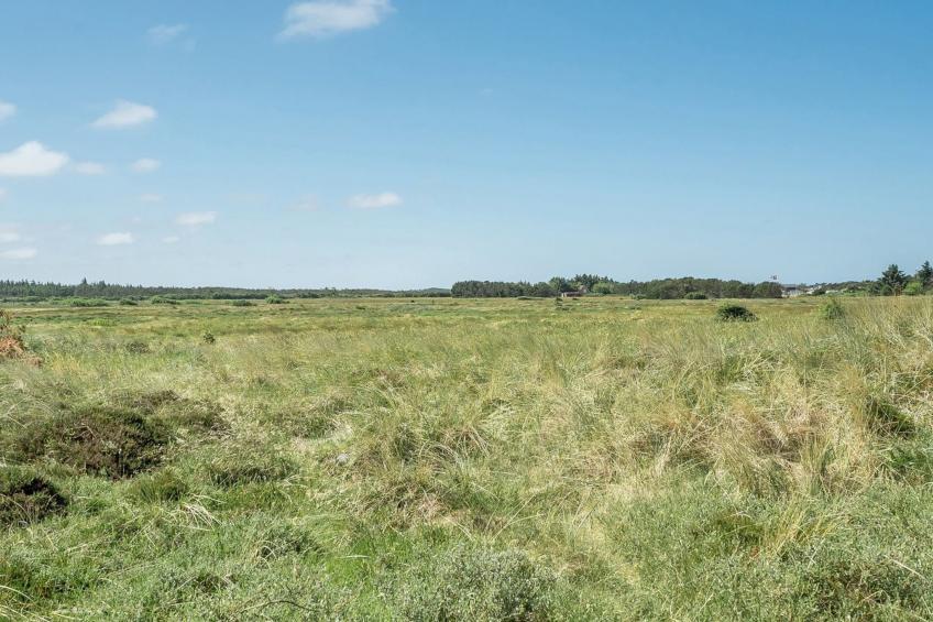 "Tayanita" - 750m from the sea in NW Jutland - foto 20