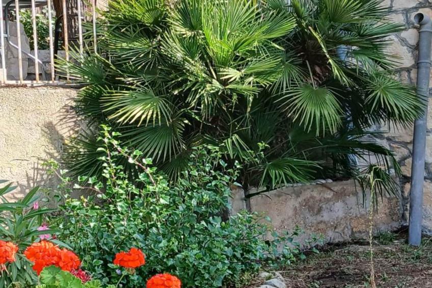 Apartmani Green Oasis - Studio Apartment with Terrace and Sea View - foto 14