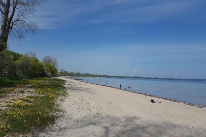 Ferienhaus Hohenkirchen - foto 27