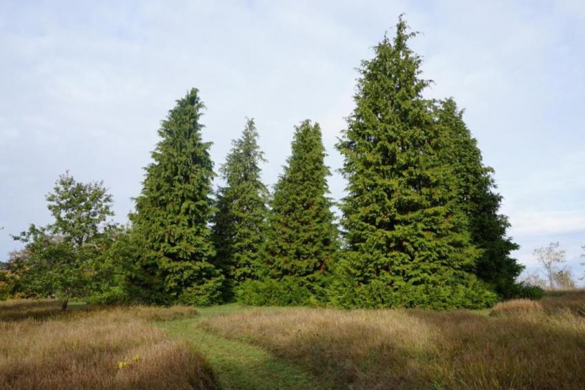 Maison de vacances - LUSIGNAC  Gastverblijf - foto 32