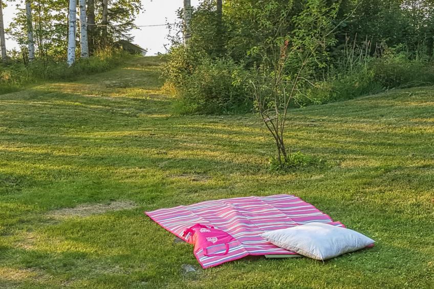 Heituinlahti, mäntyniemi - foto 3