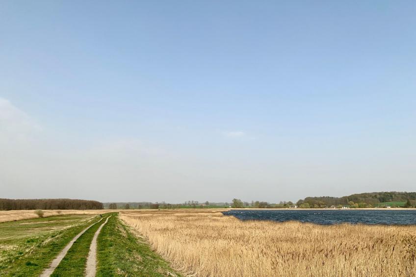 mit Balkon - foto 42