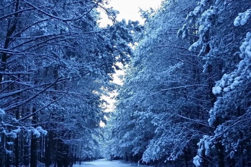 - Uns lütt Hüsung - foto 22