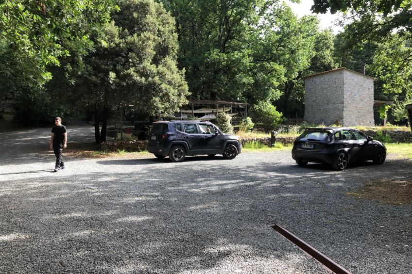 Kirschbäume, eine Oase im Wald zwischen Meer und Natur - foto 15