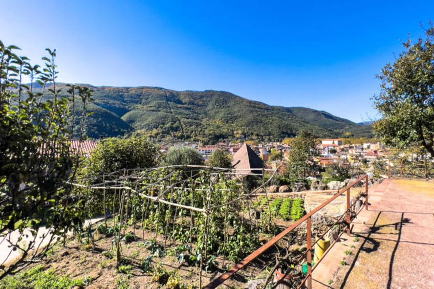 Maison à Sant Feliu de Pallerols - foto 39