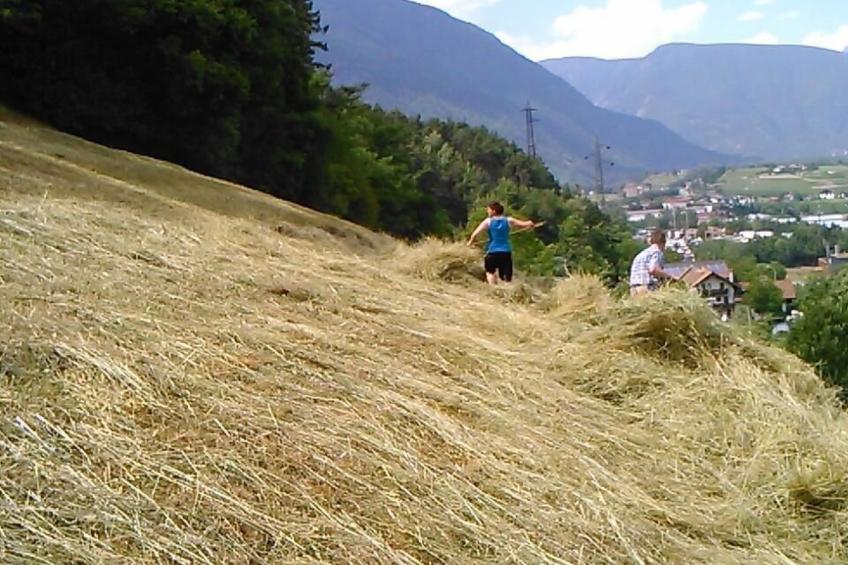 mit Terrasse auf einem Bauernhof - foto 19