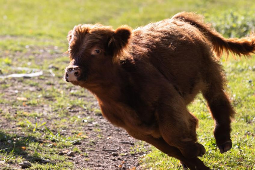 Suite Empire - foto 7