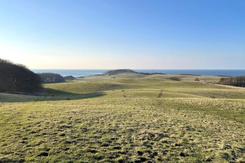 "Gjuro" - 800m from the sea - foto 3