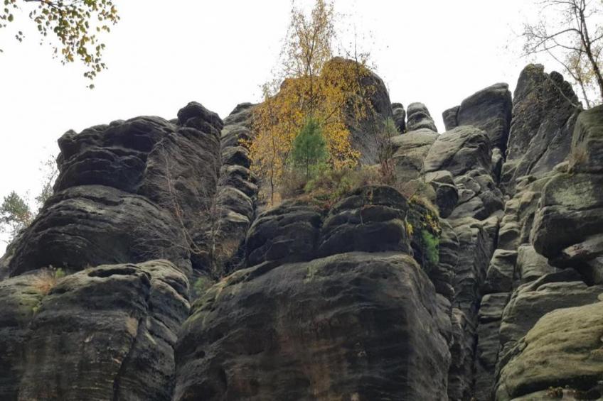Sächsische Schweiz - foto 25