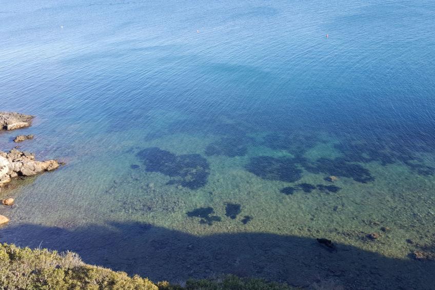 Bio-Bauernhof in der Maremma Park - foto 11