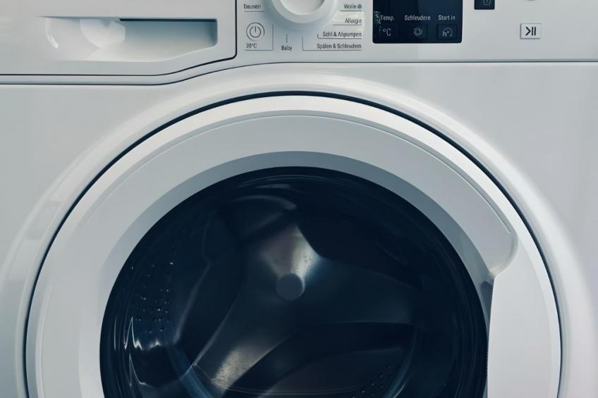 FeWo Vechtelust - foto 26