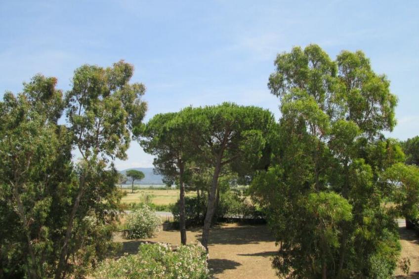 Giannella Holiday Apartment - foto 16