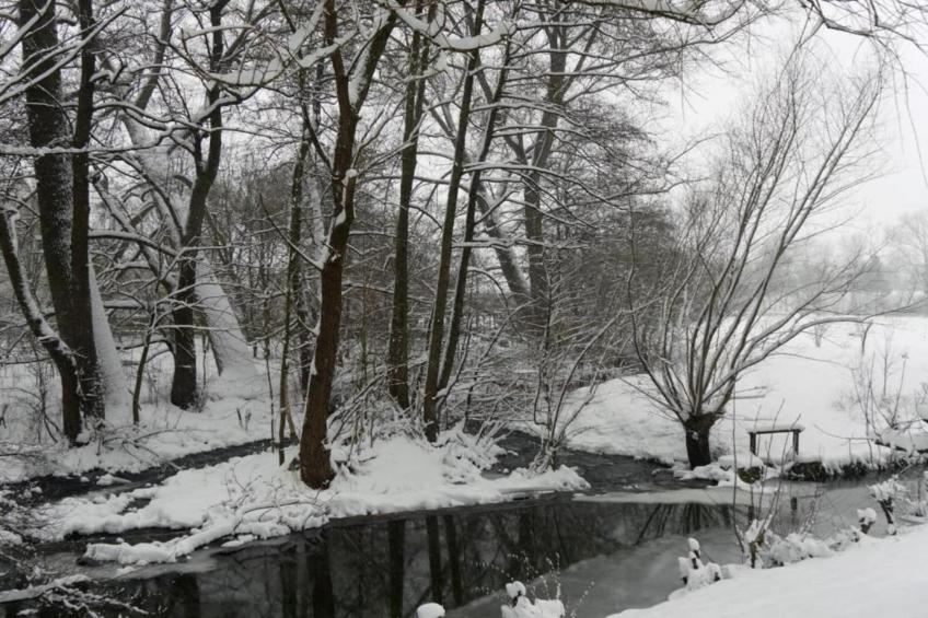 Im Teutoburger Wald - foto 36