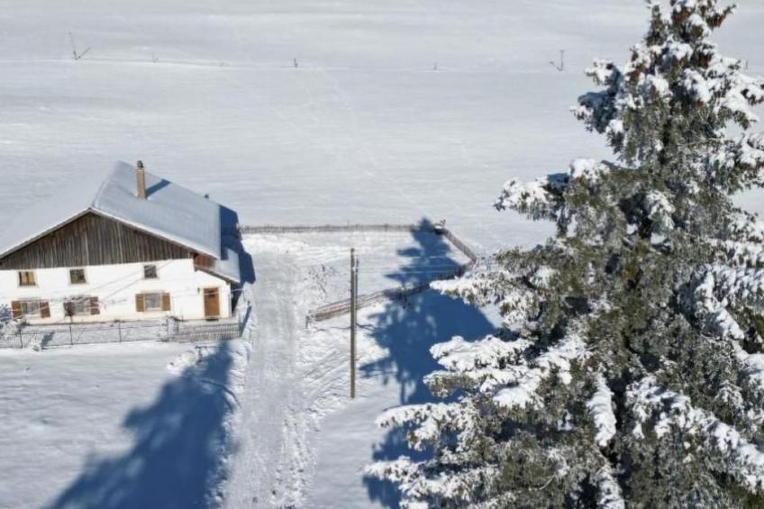 la ferme de la gaby - foto 13