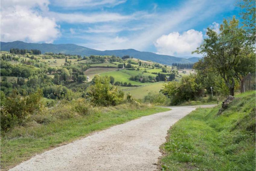 Il Ciliegio - foto 21