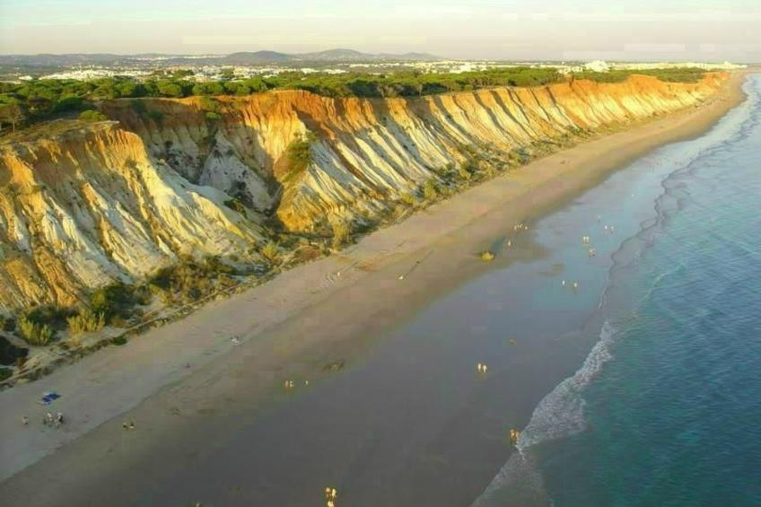 Wohnung mit Terrasse - foto 18