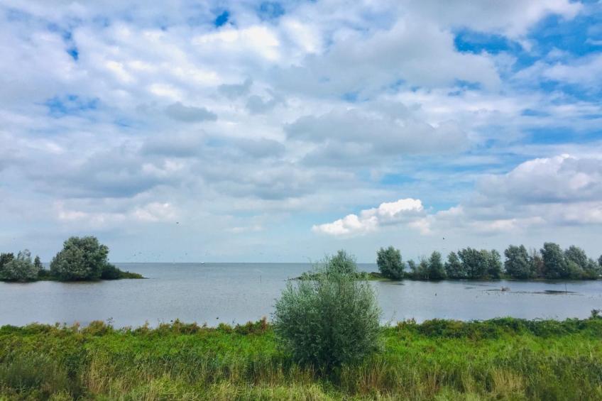 Sonnenschein - foto 45