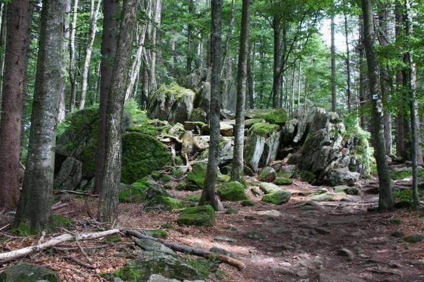 Haus Annemarie - foto 13