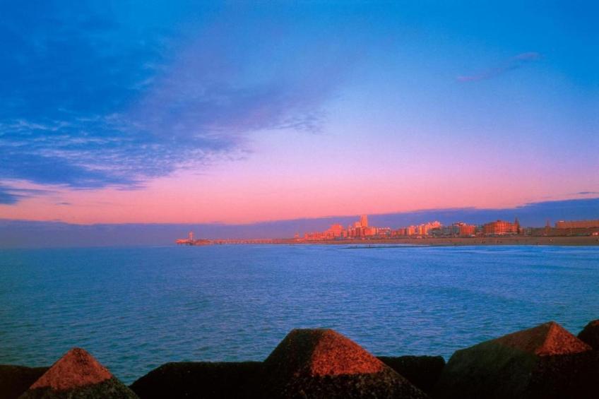 Elzendreef - foto 26